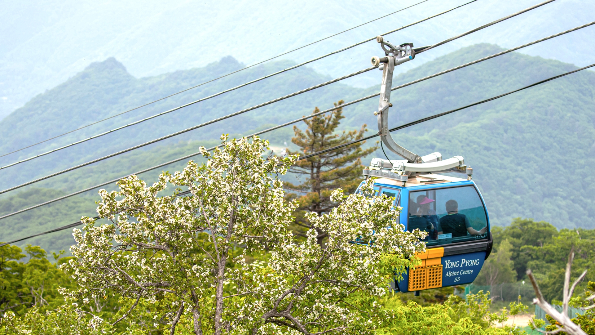 발왕산 케이블카