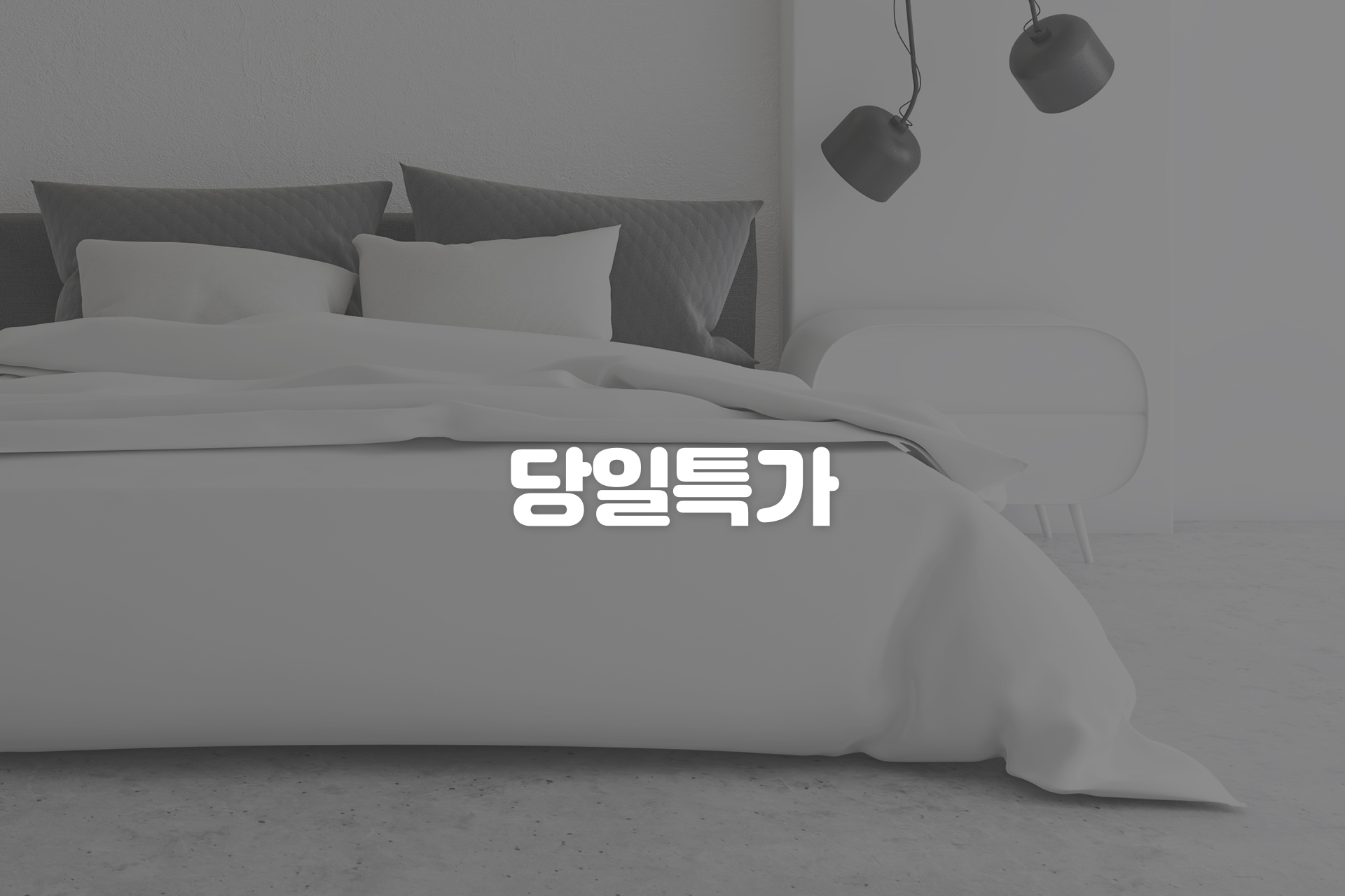 당일특가이벤트