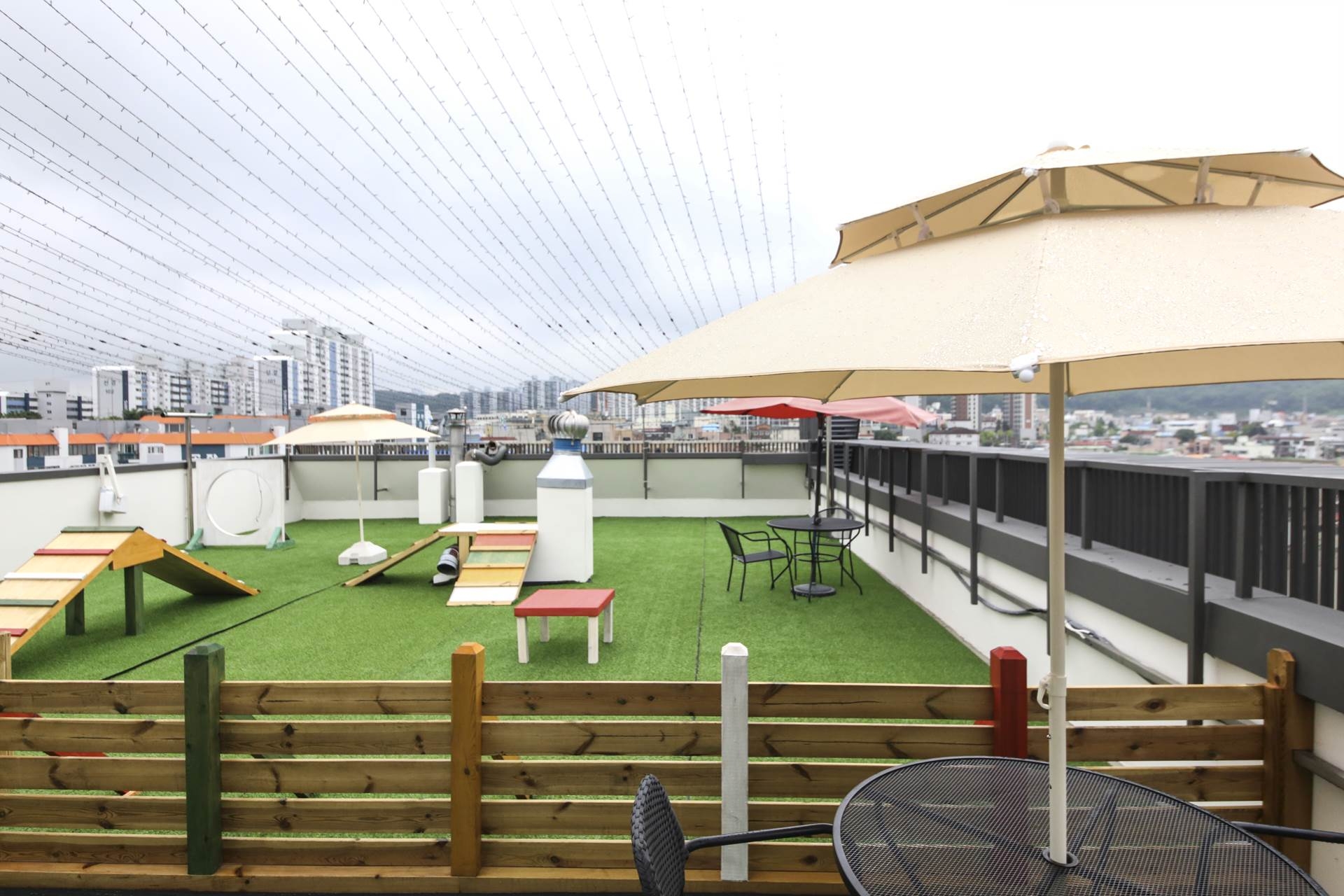 펫룸(프리미엄+애견놀이터)