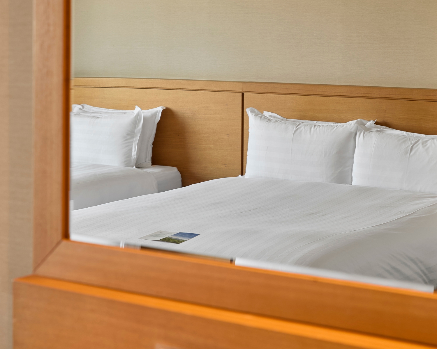 디럭스 트윈(가든 전망)