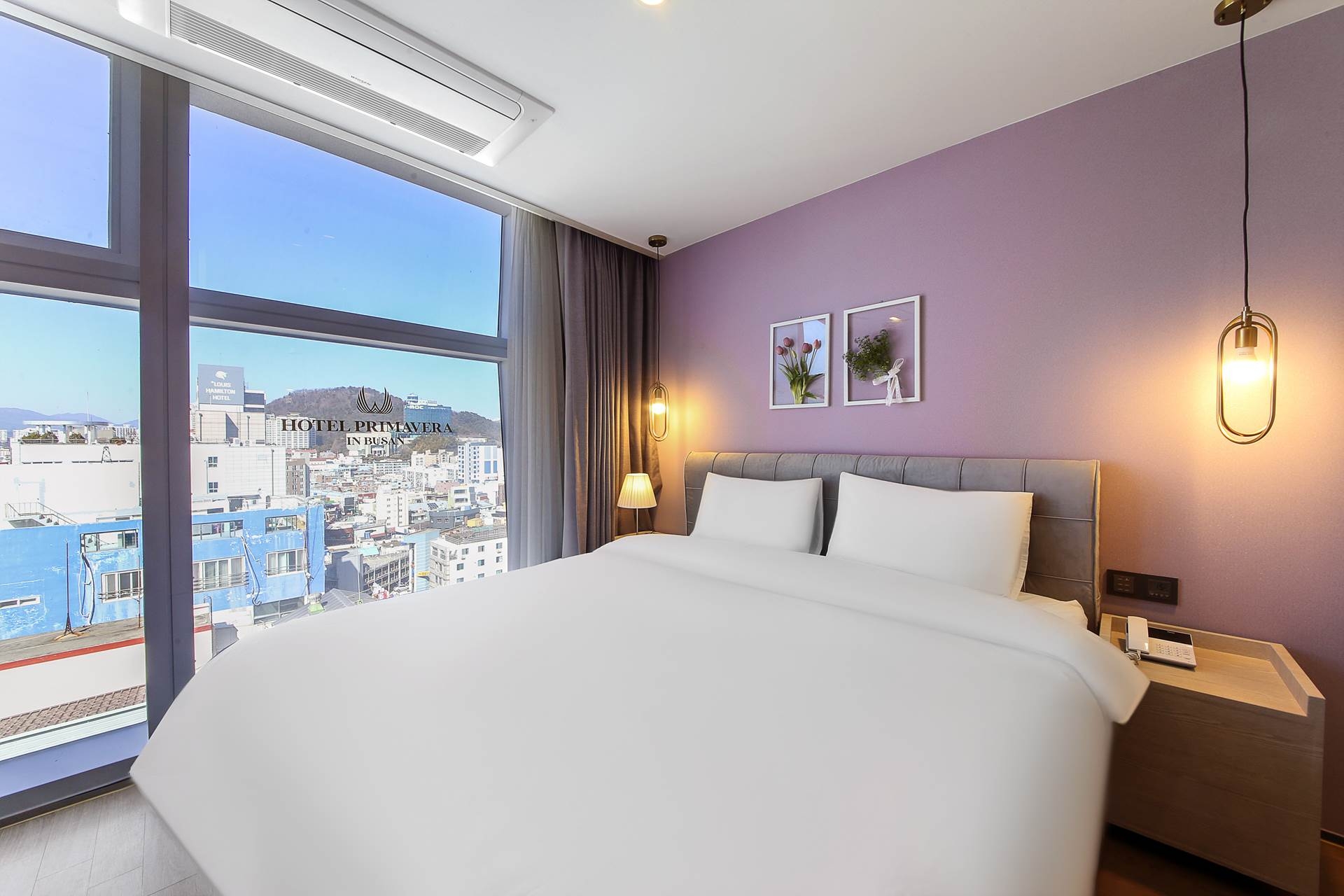 디럭스 프리미엄