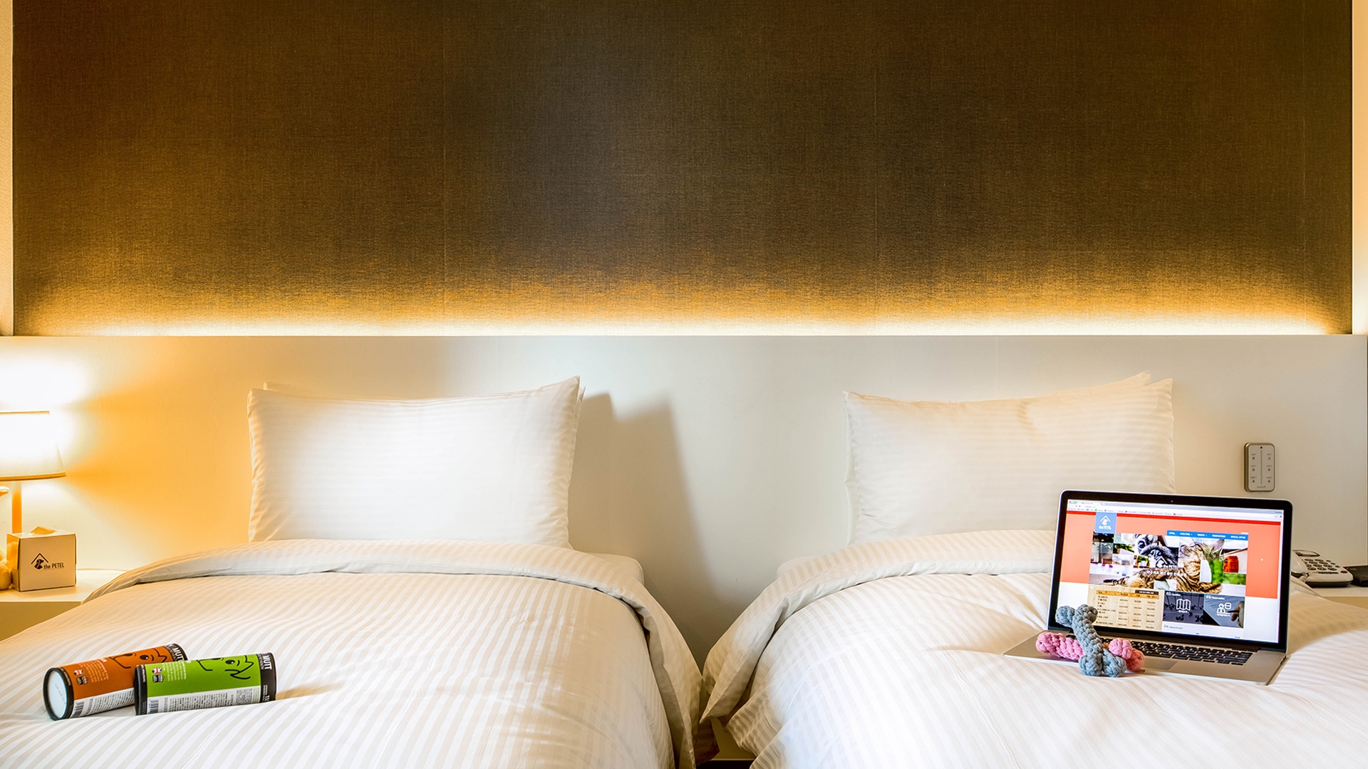 펫 디럭스 트윈