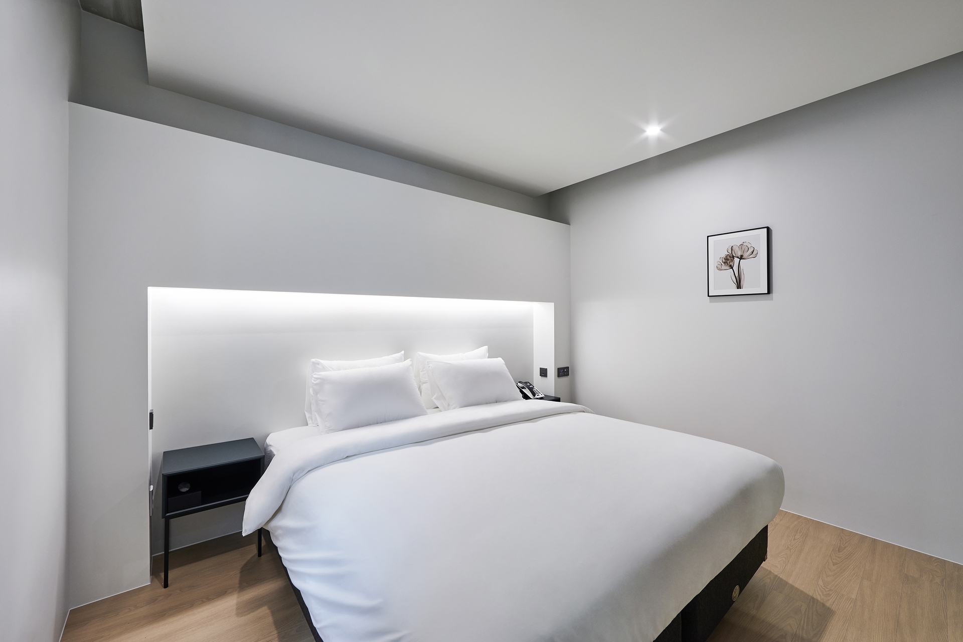 인트로 더블(넷플릭스 시청가능,에이스