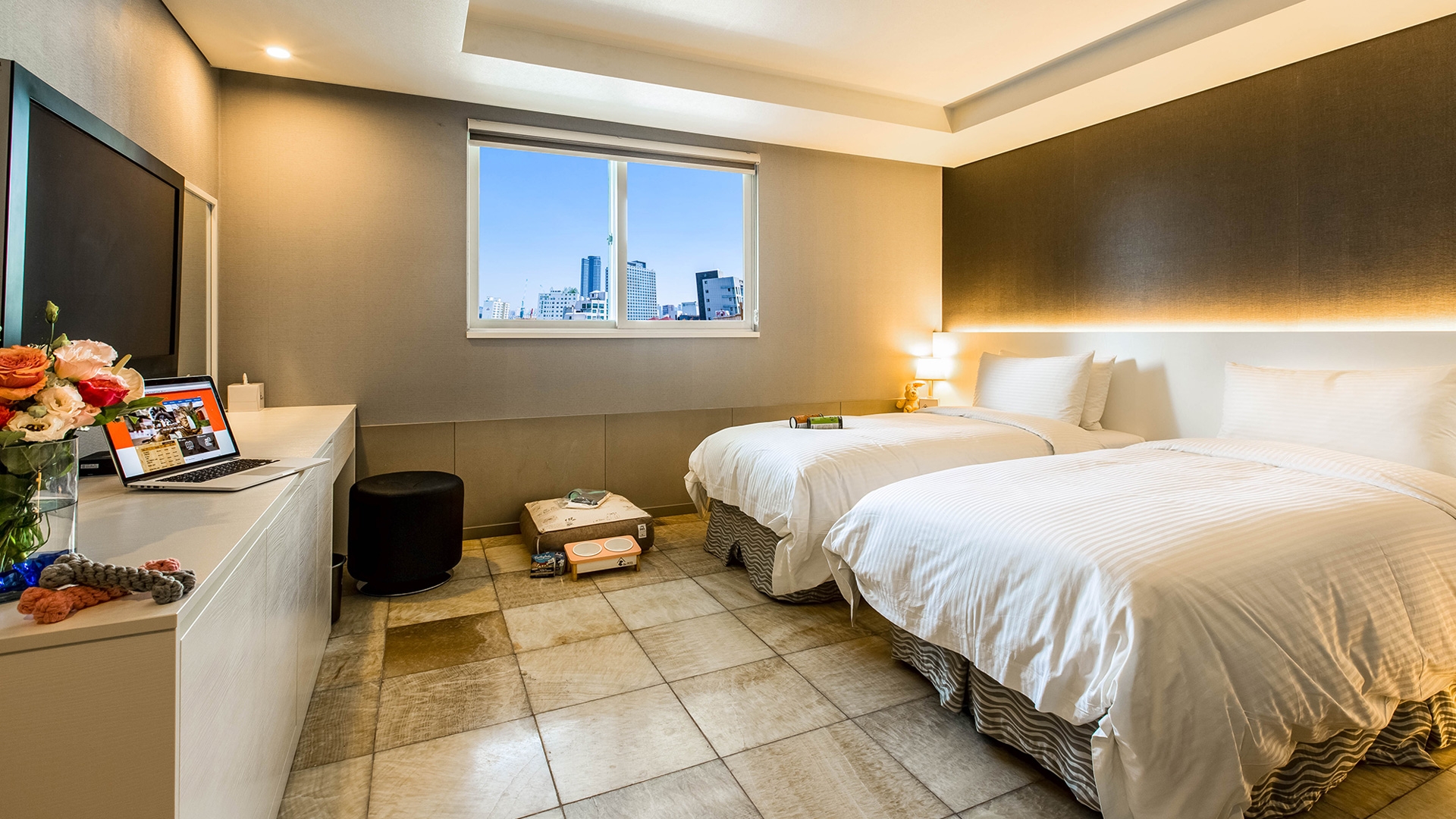 펫 디럭스 트윈