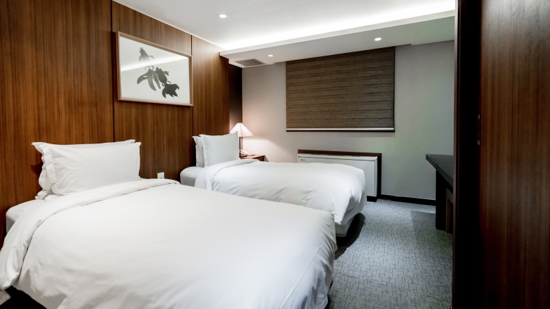 디럭스 트윈 (전망없음)