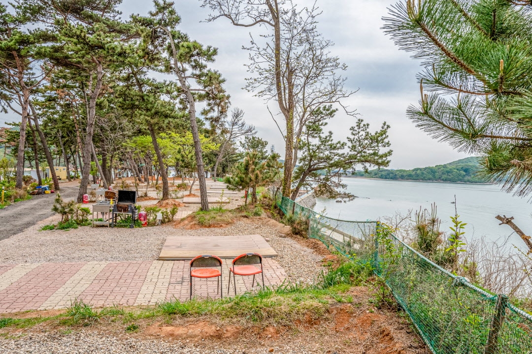 [차박+텐트] 오토캠핑1~33호(바다전망) 랜덤배정