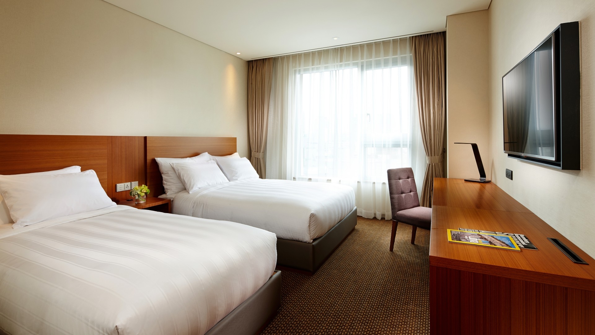 스탠다드 패밀리 트윈