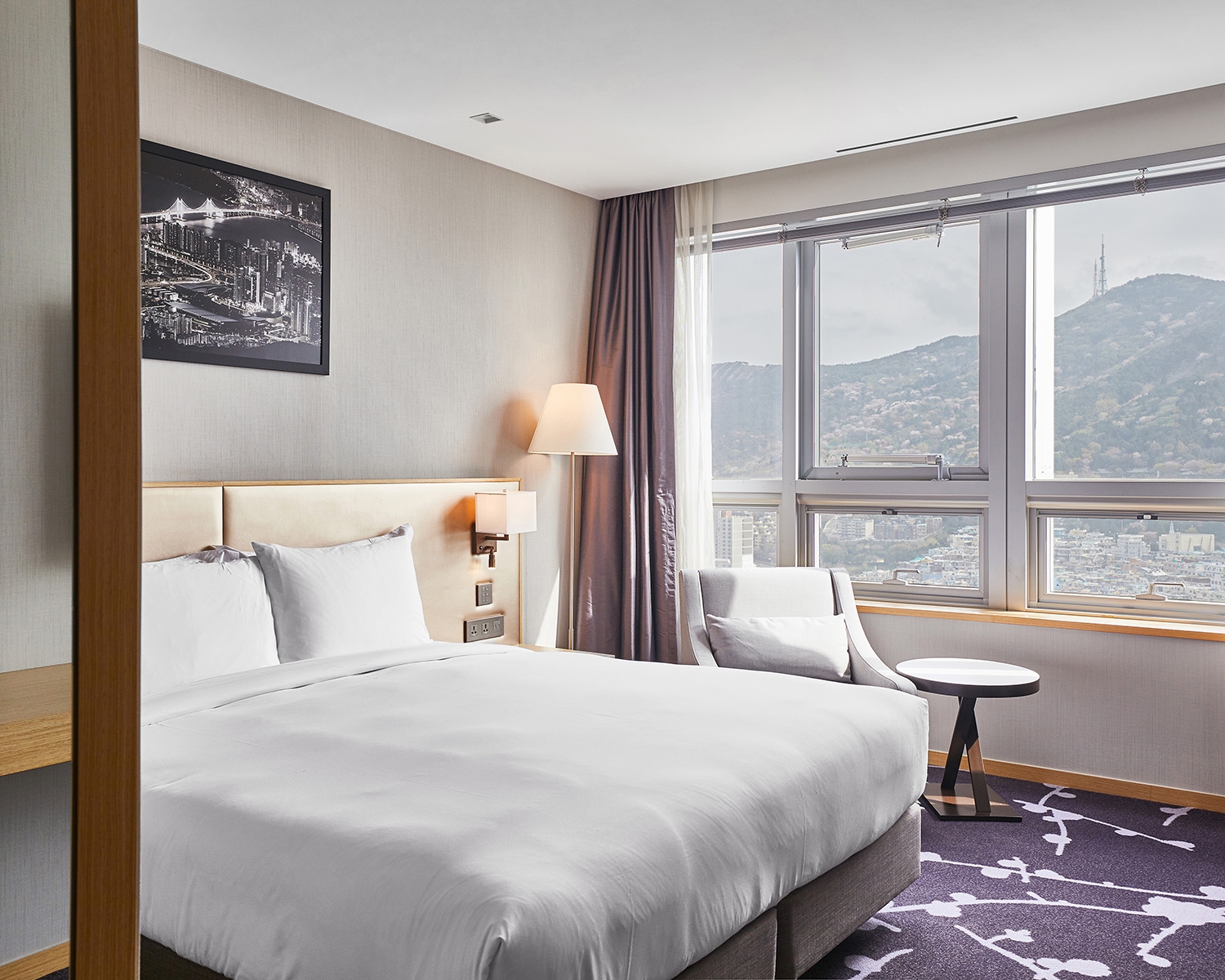 아바니 디럭스 킹 마운틴뷰