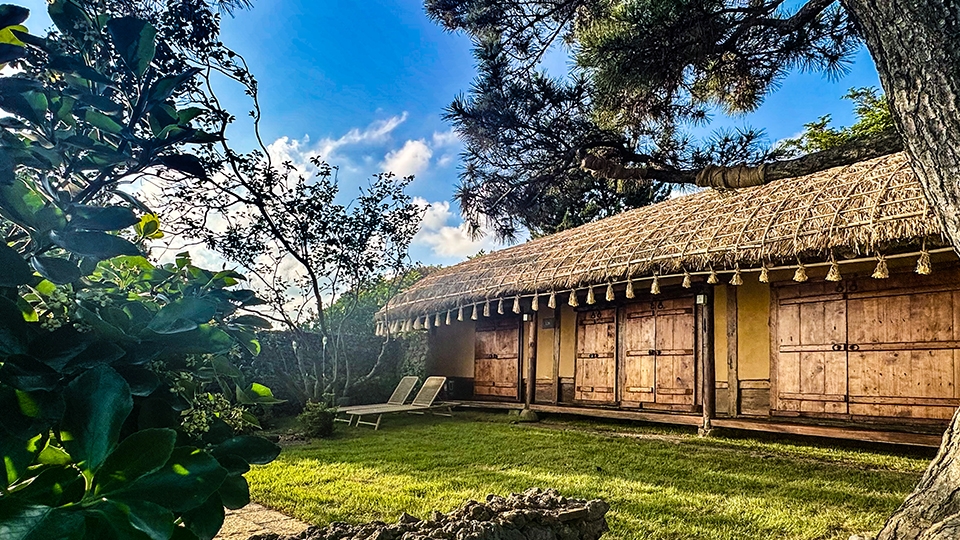 초당 풀 스위트