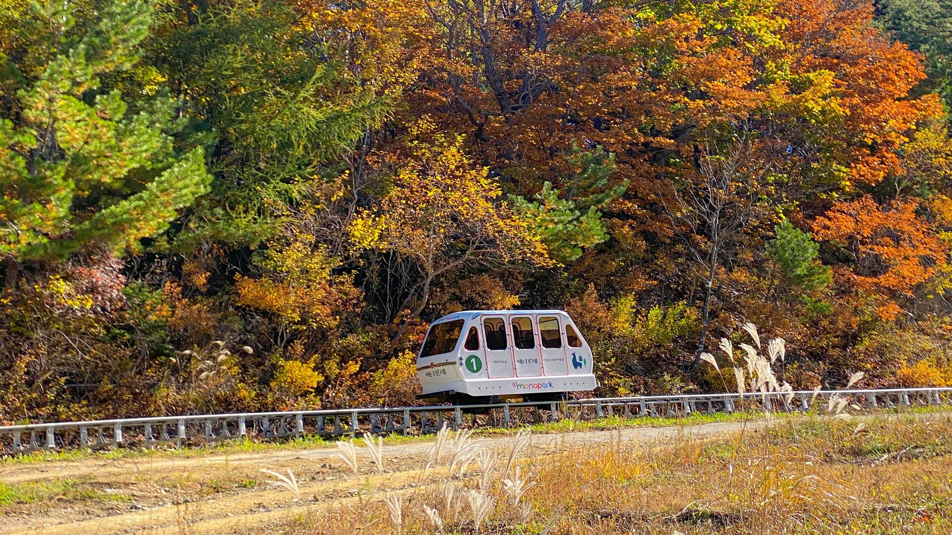 애니포레 모노레일