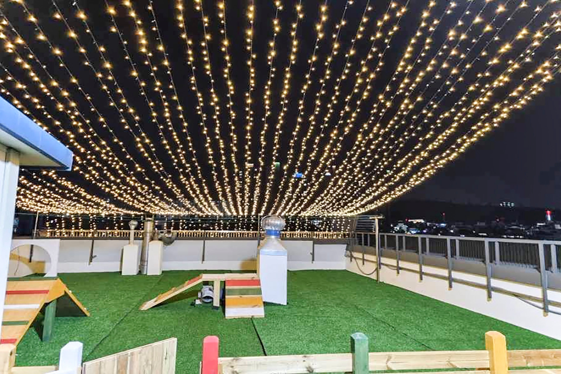 펫룸_스위트 트윈