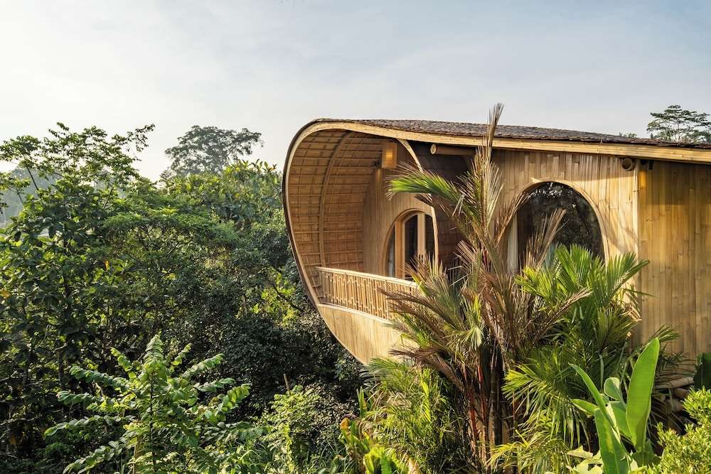 정글라이트 발리