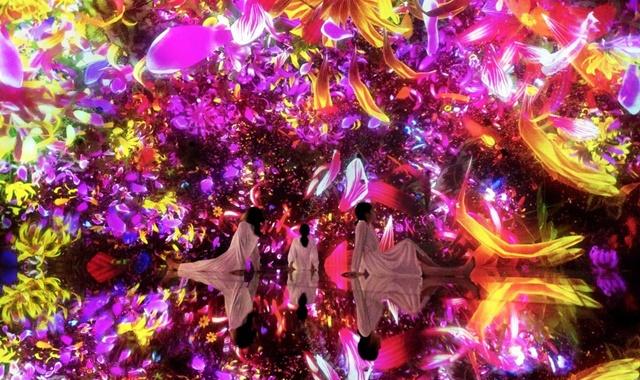 [우선입장] 팀랩 플래닛 도쿄 DMM 프리미엄 패스