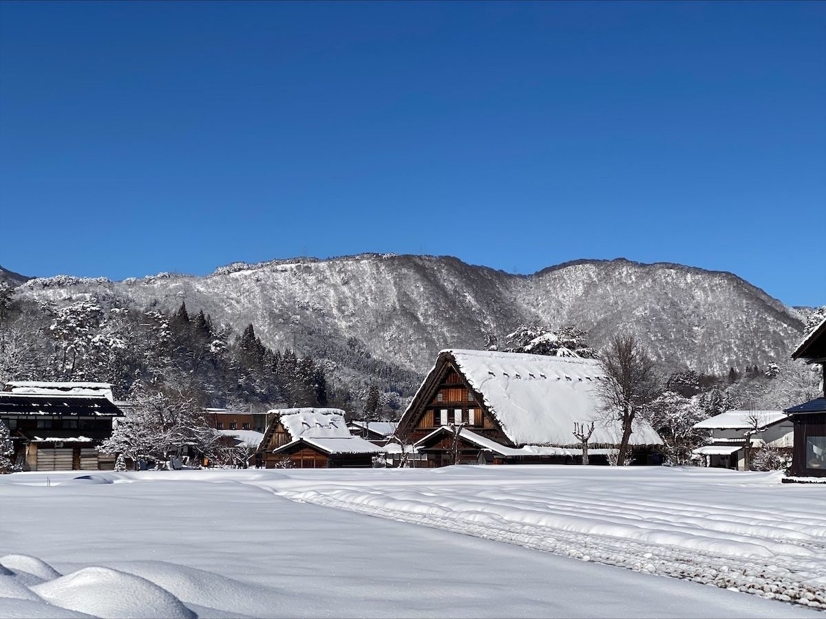 나고야 - 시라카와고 / 다카야마 고속 버스 티켓