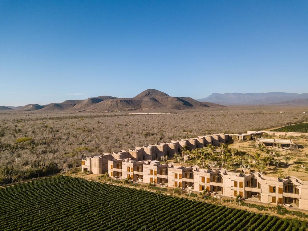 Paradero Todos Santos - Exclusive Experiences - 파라데로 토도스 산토스 - 독점 경험