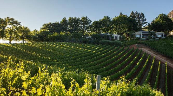 브랜드호텔,그라프호텔,스텔렌보스호텔