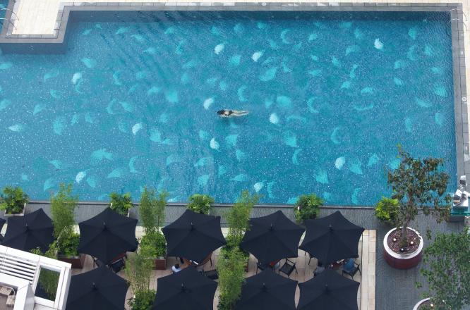 홍콩호텔,홍콩수영장,포시즌스호텔홍콩