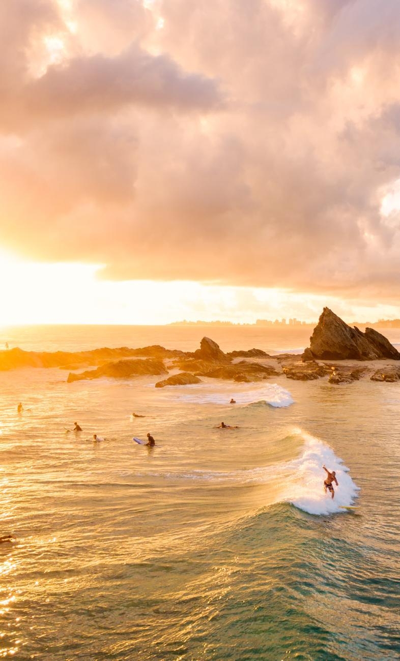 미리 즐기는 여름,
호주 서퍼스 파라다이스