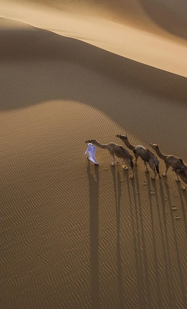 가장 낯선 여행지,
사막 속 호텔