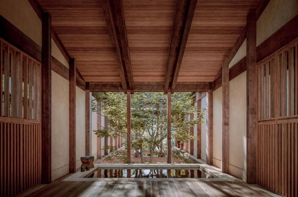 보카 드 아구아, 멕시코호텔, 정글호텔