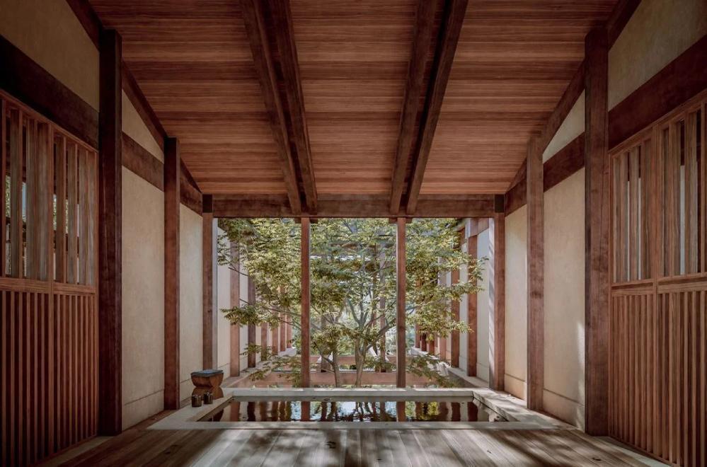 보카 드 아구아, 멕시코호텔, 정글호텔