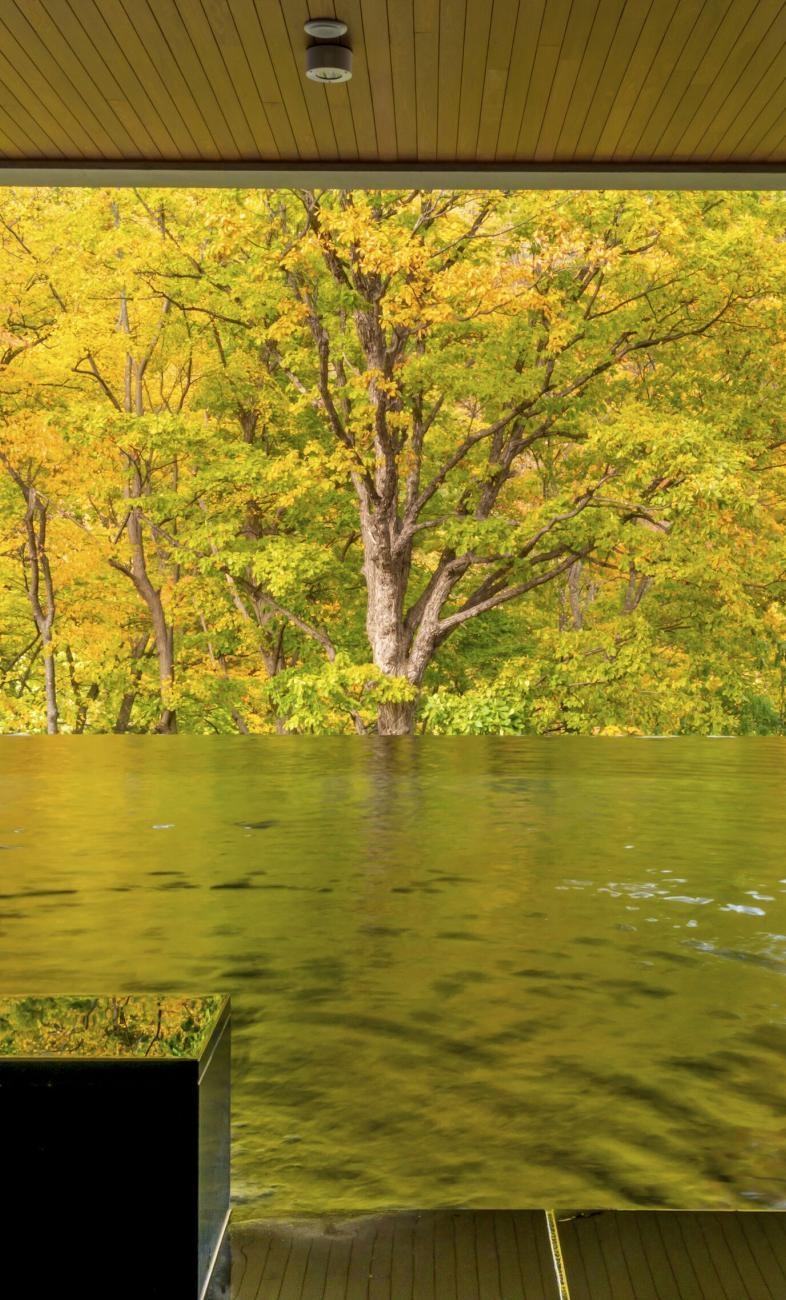 조용한 숲속에서 가을 온천
일본 조잔케이 숙소