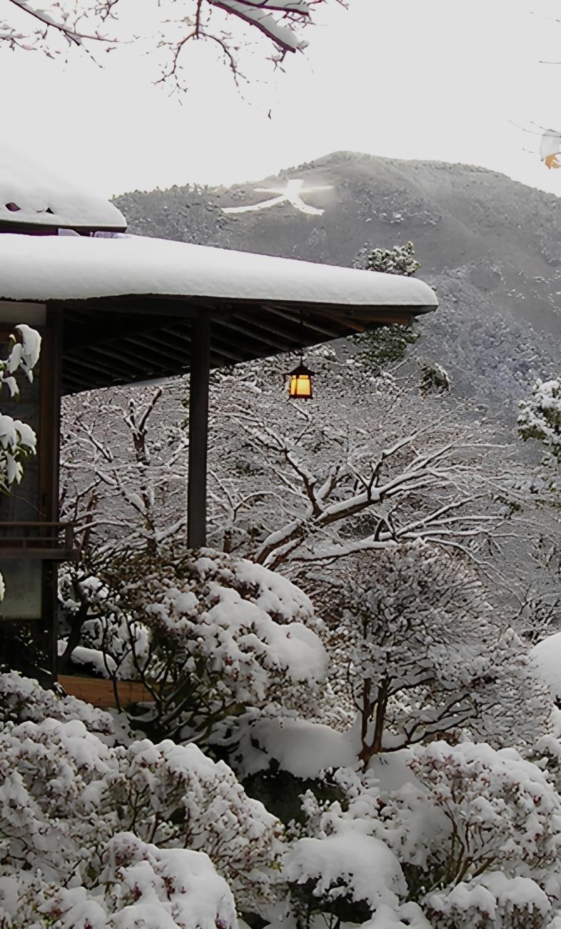 일본에서 즐기는 겨울 낭만,
하코네 온천 숙소