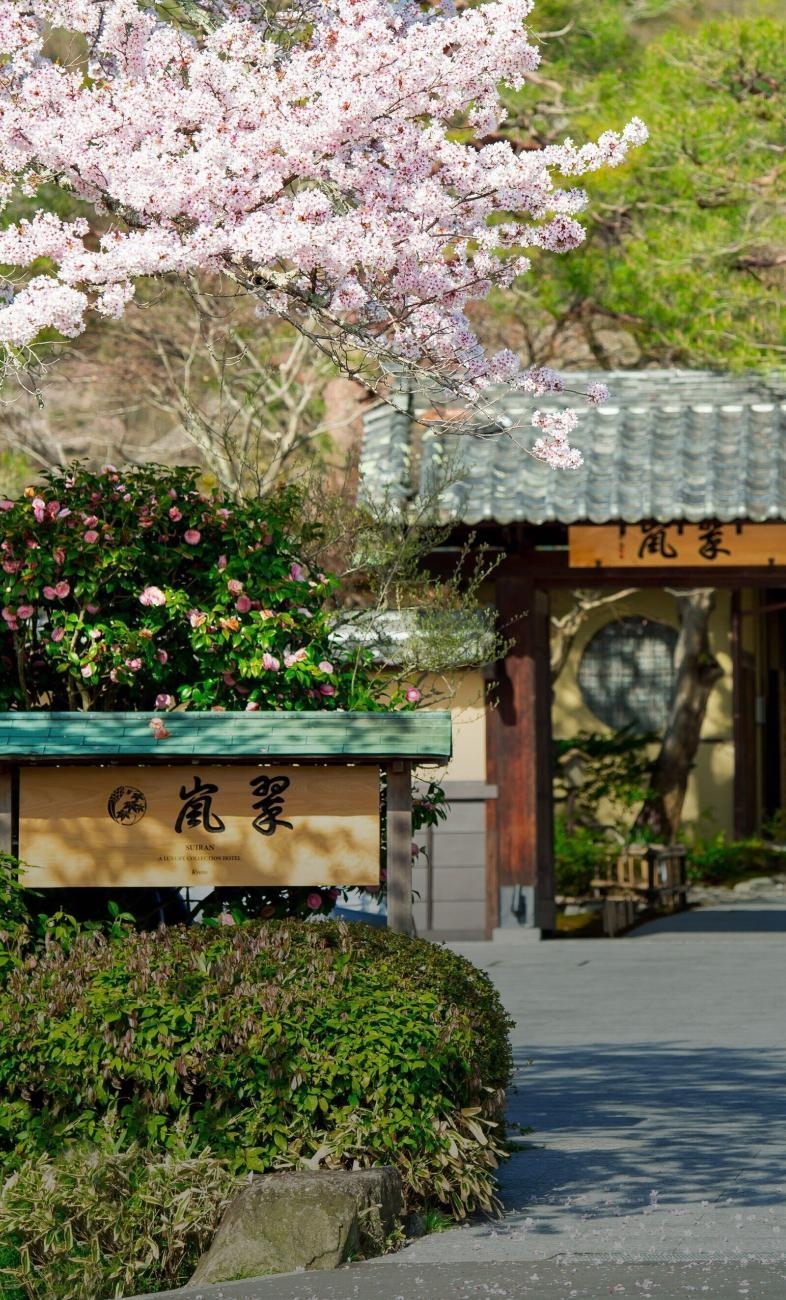 꽃피는 봄이니까
일본 벚꽃뷰 숙소