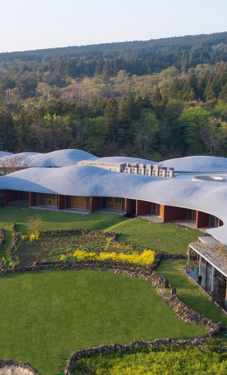 가장 먼저 봄이 시작되는,
제주도 숲캉스