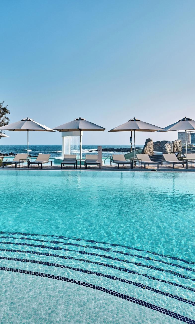 신상 찾아 떠나는
여름 호캉스