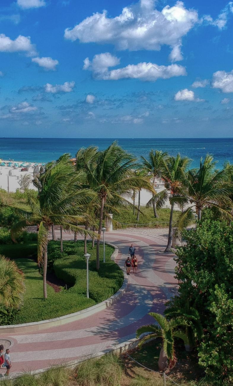 1950년대로 타임 슬립,
마이애미비치 오션드라이브