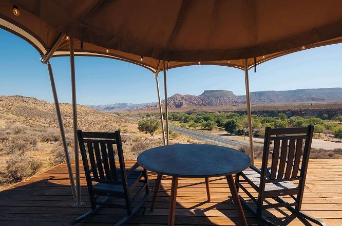 자이언와일드플라워