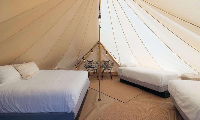 자이언와일드플라워