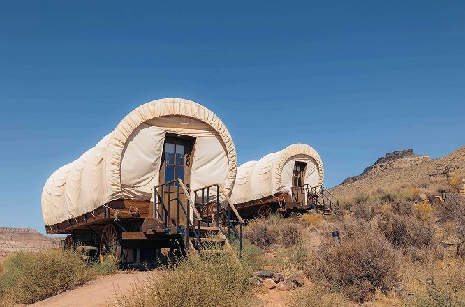 자이언와일드플라워,미국여행,로드트립,글램핑,미서부여행