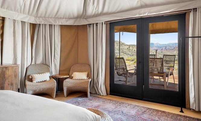 자이언와일드플라워