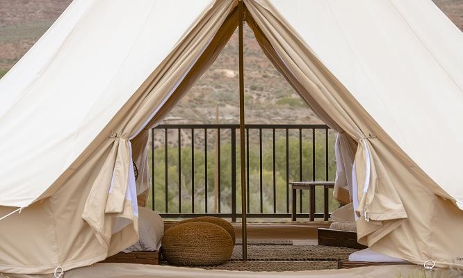 자이언와일드플라워