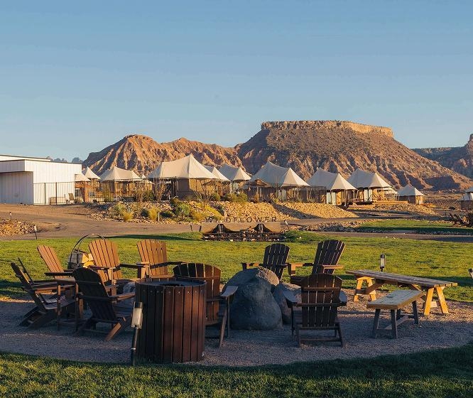 자이언와일드플라워