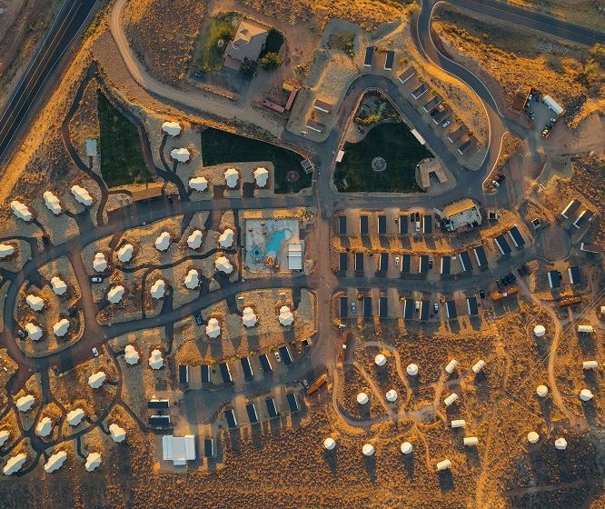 자이언와일드플라워