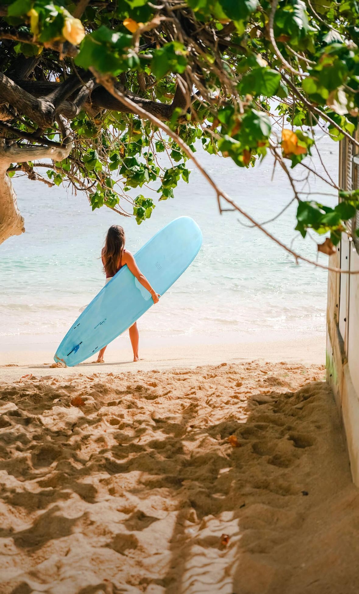서핑이 시작된 바다,
하와이 와이키키 비치