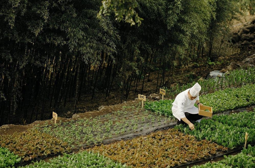 JW메리어트제주,제주리조트,제주호텔,빌벤슬리호텔,미쉐린키호텔