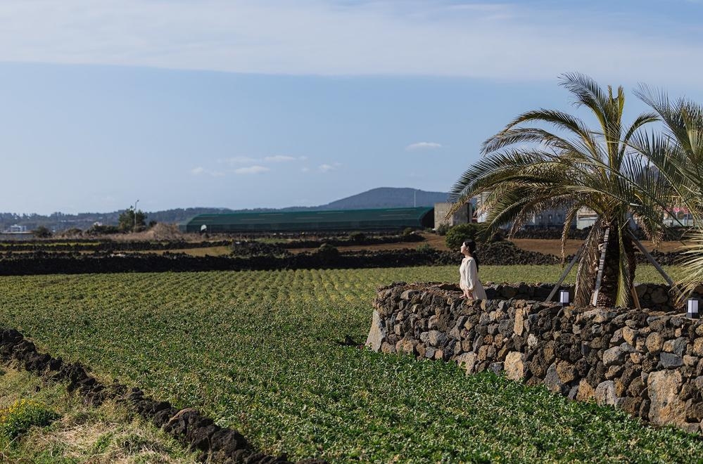 제주부티아풀빌라,제주풀빌라,제주독채숙소,제주시숙소