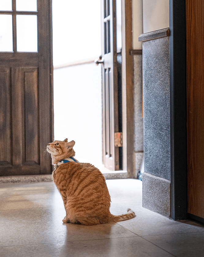 타이베이호텔,디화제호텔,오리진스페이스