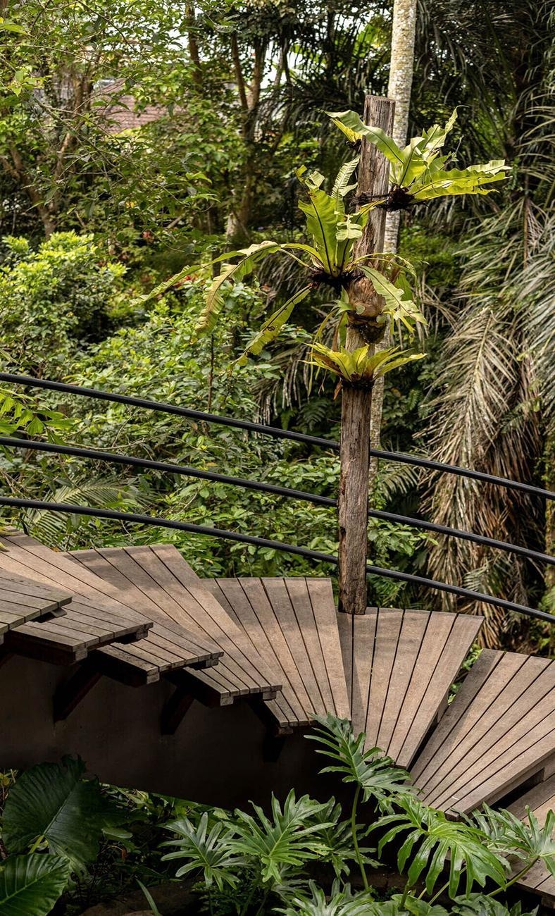 발리 숲속을 유영하며,
우붓의 정글뷰 숙소