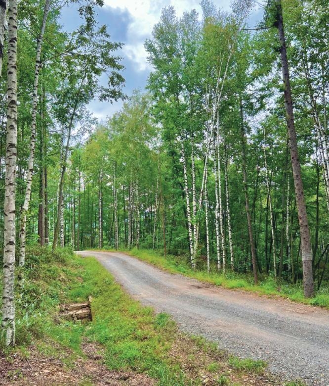 정선호텔,강원랜드호텔,웰니스,하이원그랜드호텔메인타워