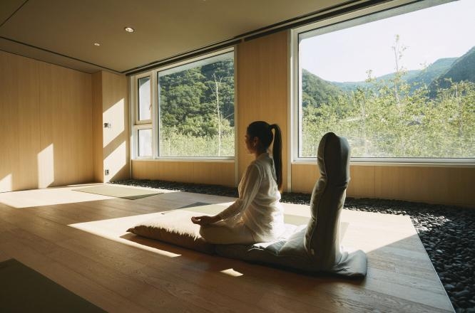 정선호텔,웰니스호텔,숲캉스,파크로쉬리조트