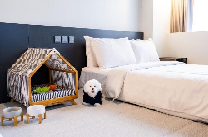 서울호텔,강남호텔,호캉스,반려동물호텔,호텔카푸치노