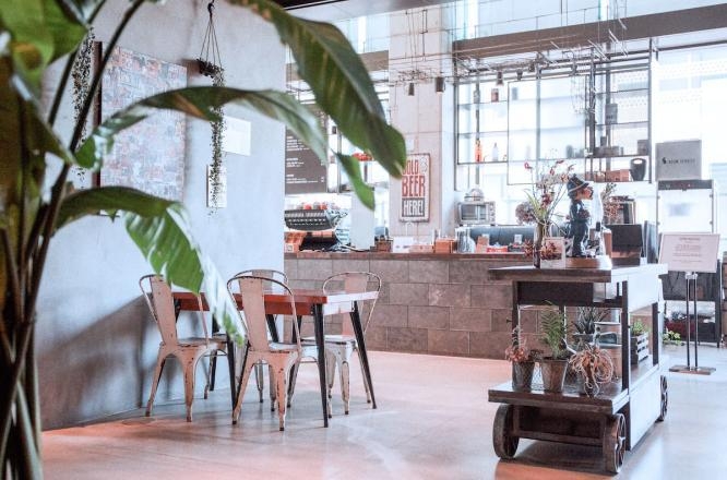 서울호텔,강남호텔,호캉스,반려동물호텔,호텔카푸치노