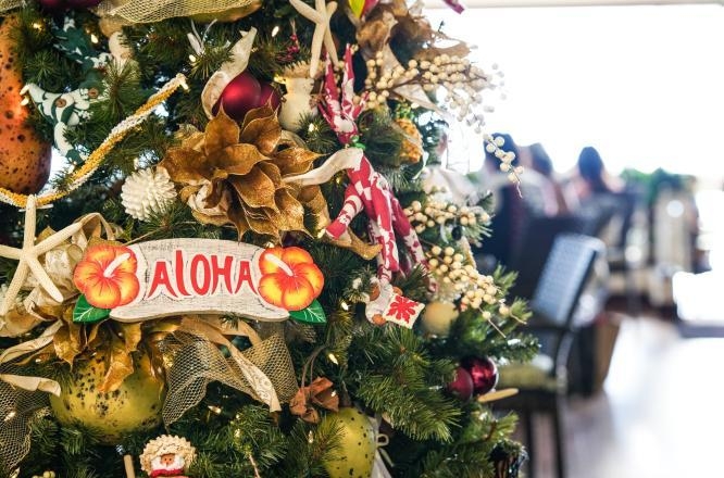 하와이호텔,하와이호캉스,호놀룰루호텔,카할라호텔