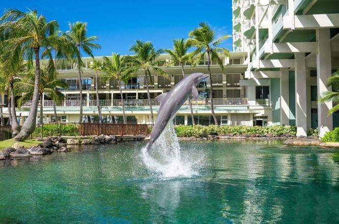 하와이호텔,하와이호캉스,호놀룰루호텔,카할라호텔