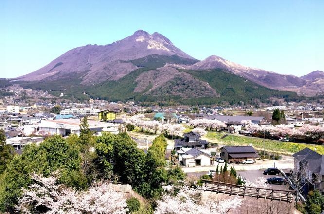 유후인온센코토부키하나노쇼,벚꽃뷰호텔,유후인호텔